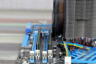 Aardwolf APCS10H Performa