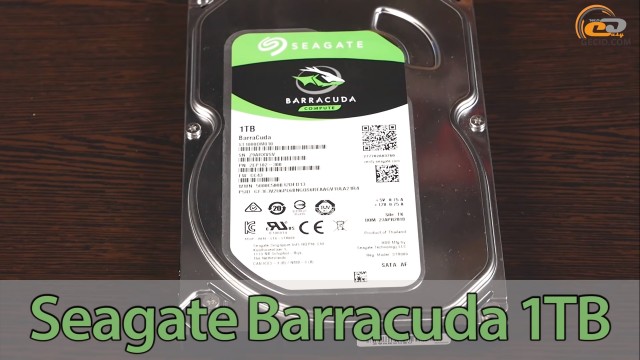 Intel NVIDIA