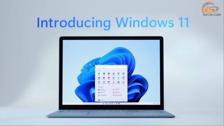Windows 11