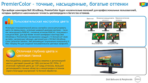 Dell Monitors 2013