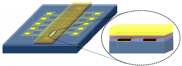 magnetless spin memory