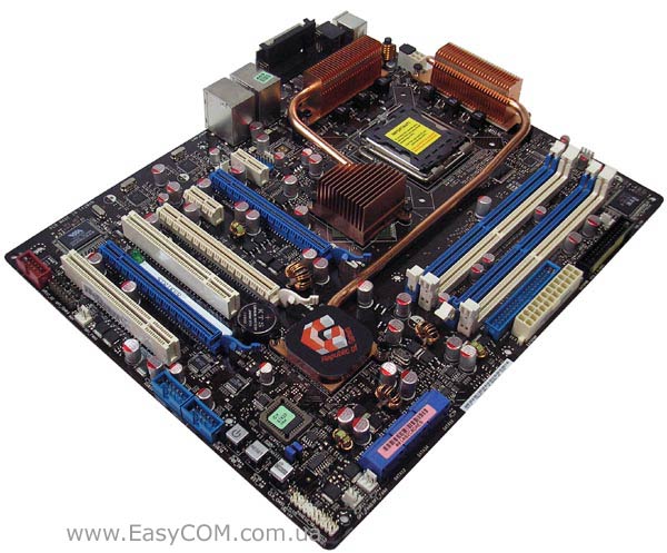 ASUS Striker