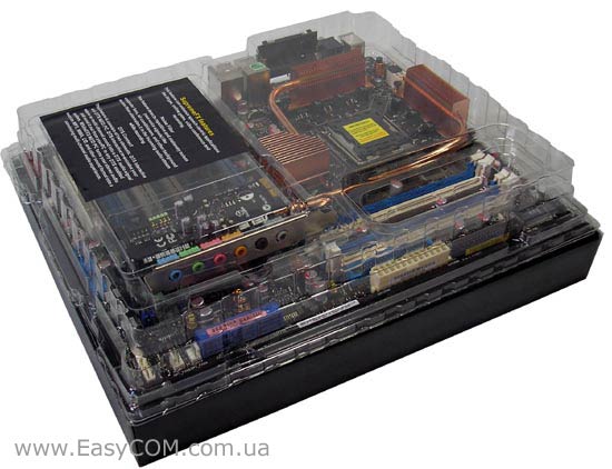 ASUS Striker