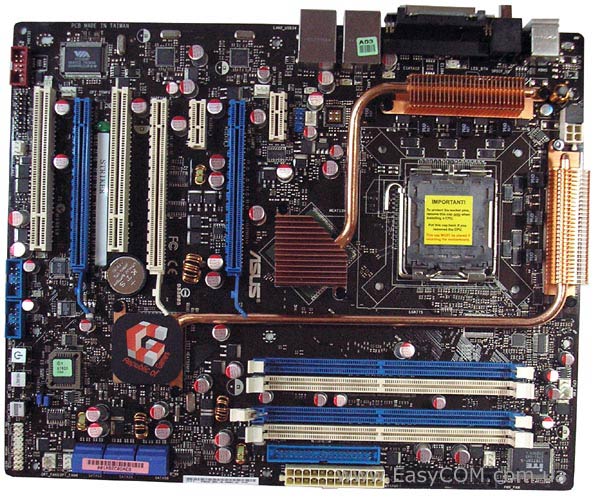 ASUS Striker