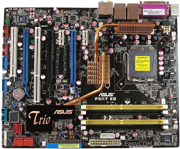 ASUS P5NT WS