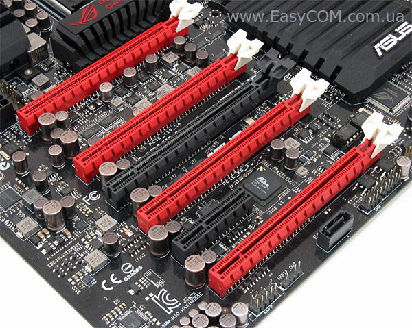 ASUS Maximus V Extreme peg