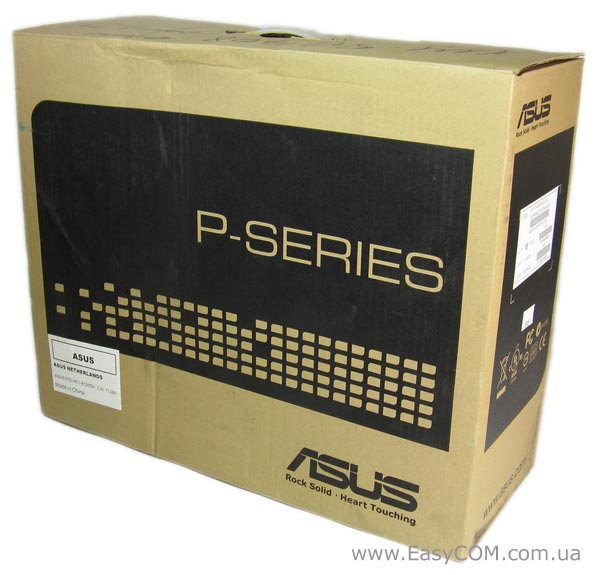 ASUS P2-M2A690G