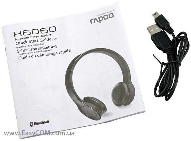 Rapoo H6060