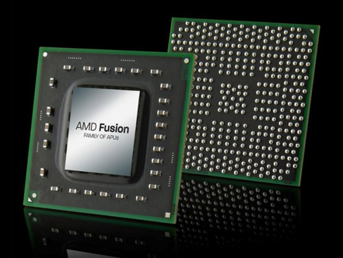 AMD Ontario C-50