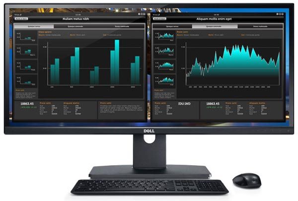 Dell_UltraSharp_U2913WM
