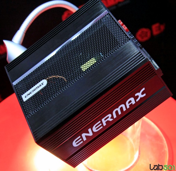 Enermax Fanless 650W Platinum