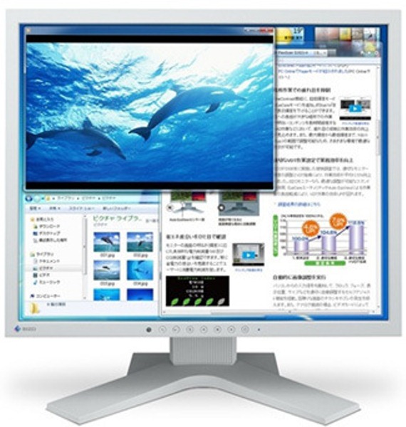 EIZO FlexScan S1923-H