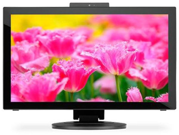 NEC MultiSync E232WMT