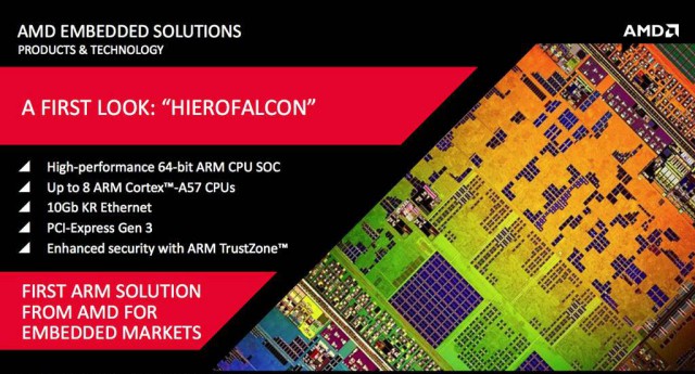 AMD R Hierofalcon