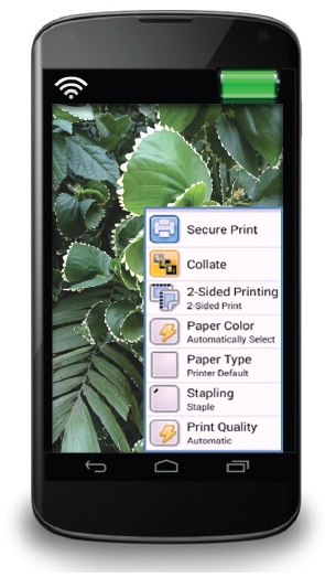 Xerox Print Service