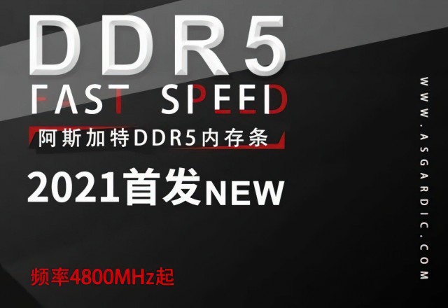 Asgard DDR5-4800