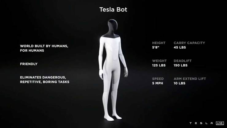 Tesla Bot