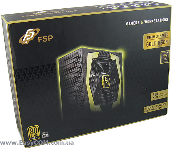 FSP AURUM CM 650 (AU-650M)