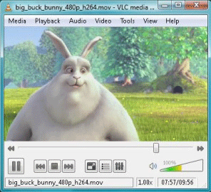 VLC Media Player 1.0.3