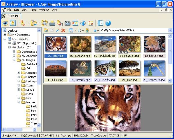 XnView 1.99.5