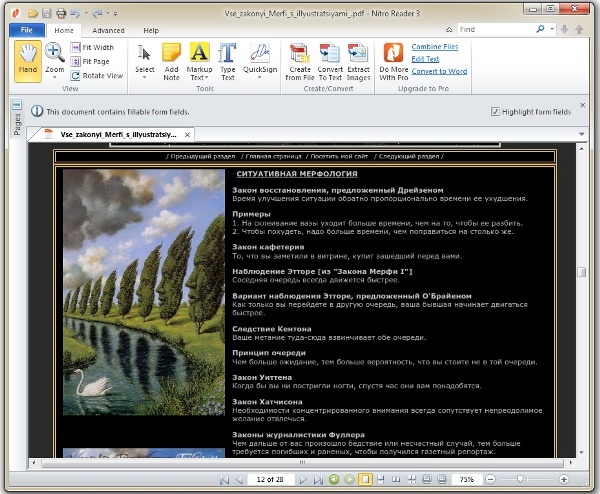 Nitro Reader