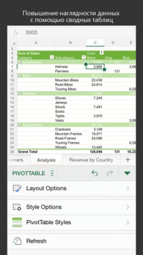 Microsoft Excel
