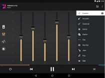 Equalizer+