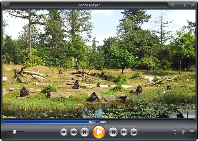 Zoom Player FREE