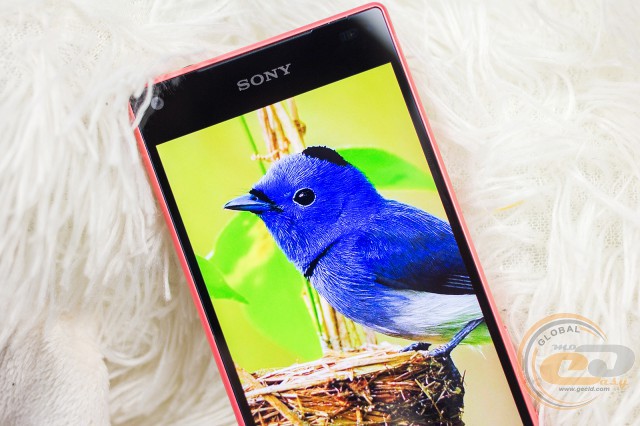 Sony Xperia Z5 Compact