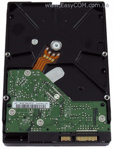 Western Digital Caviar BlueWD10EALX 