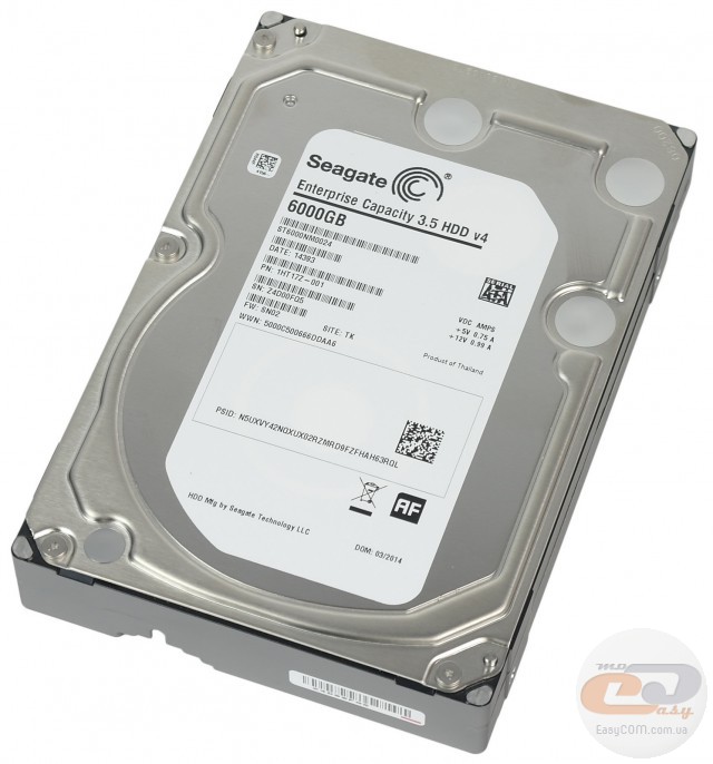 Seagate ST6000NM0024