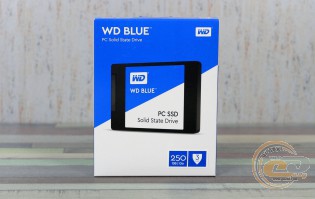 WD Blue SSD (WDS250G1B0A)