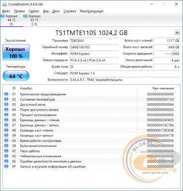 Transcend MTE110S