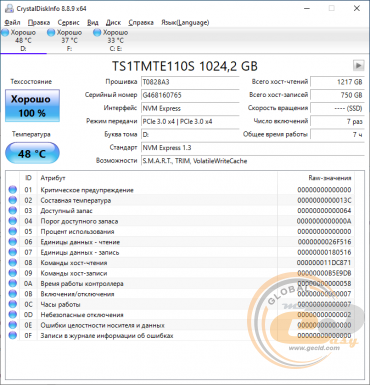 Transcend MTE110S