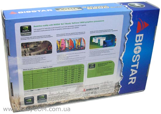 BIOSTAR GeForce 8600 GT V-Ranger